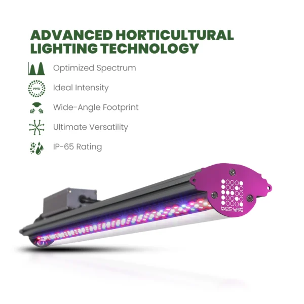 SuperBox LED Hydroponic Grow Box 18” x 24” x 30” - Image 2