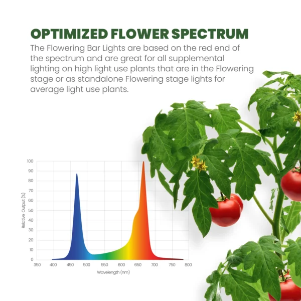 SuperBox LED Hydroponic Grow Box 18” x 24” x 30” - Image 3