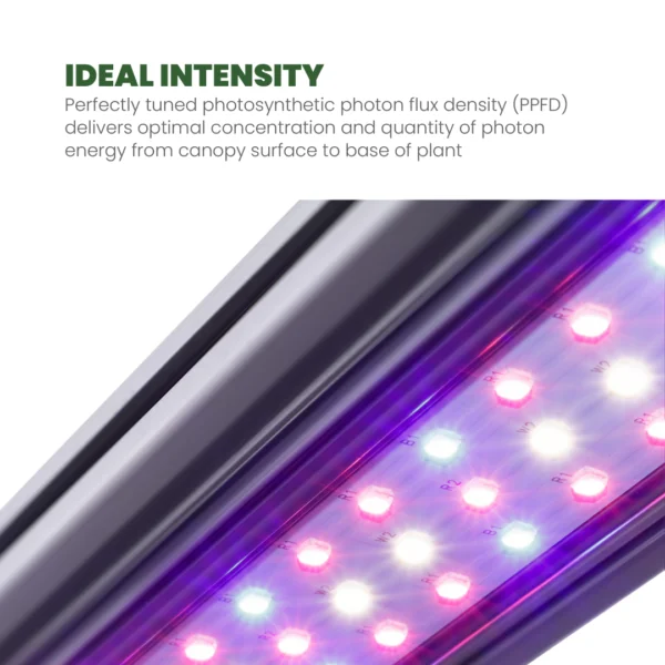 SuperBox LED Hydroponic Grow Box 18” x 24” x 30” - Image 4