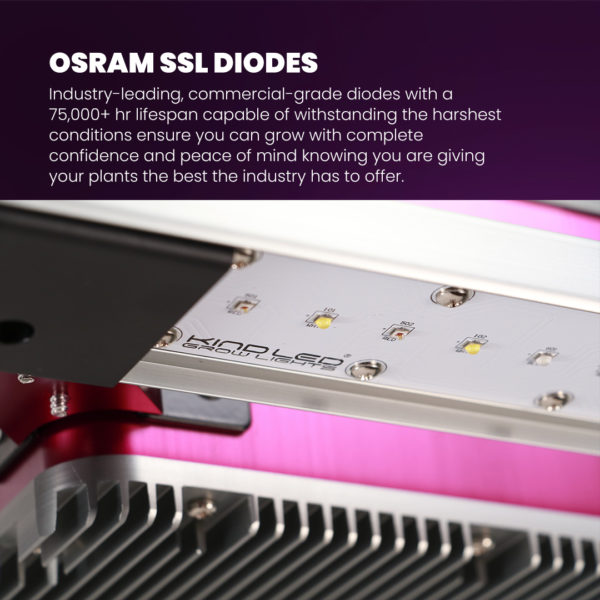 Kind-LED-X2-OSRAM-Diodes