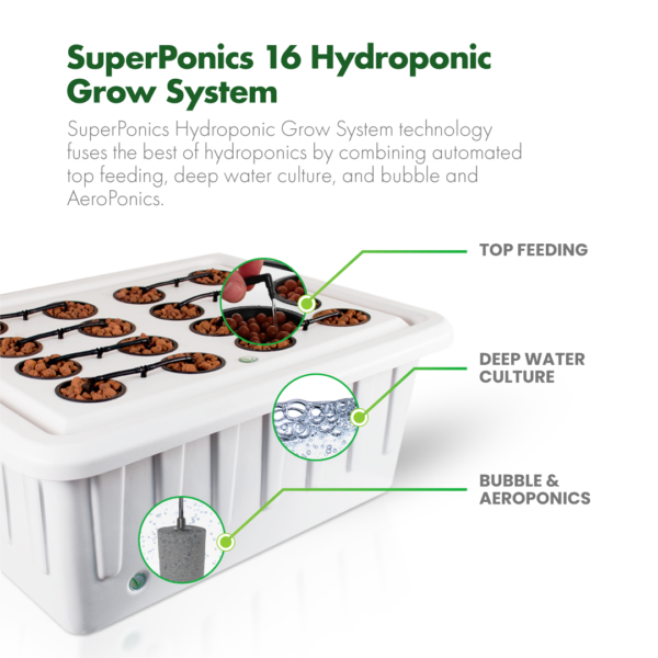 SuperPonics 16-Site Hydroponic System