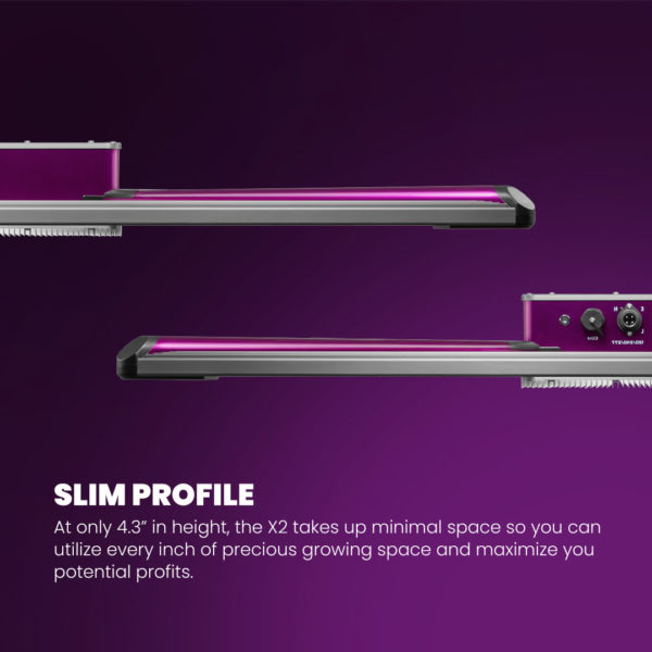 Kind-LED-X2-Slim-Profile