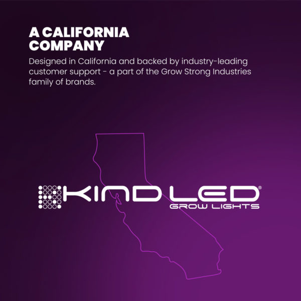 -Kind-LED-X2-California-company