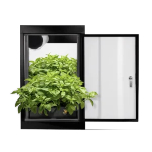 SuperBox Soil Grow Box 18” x 24” x 30”