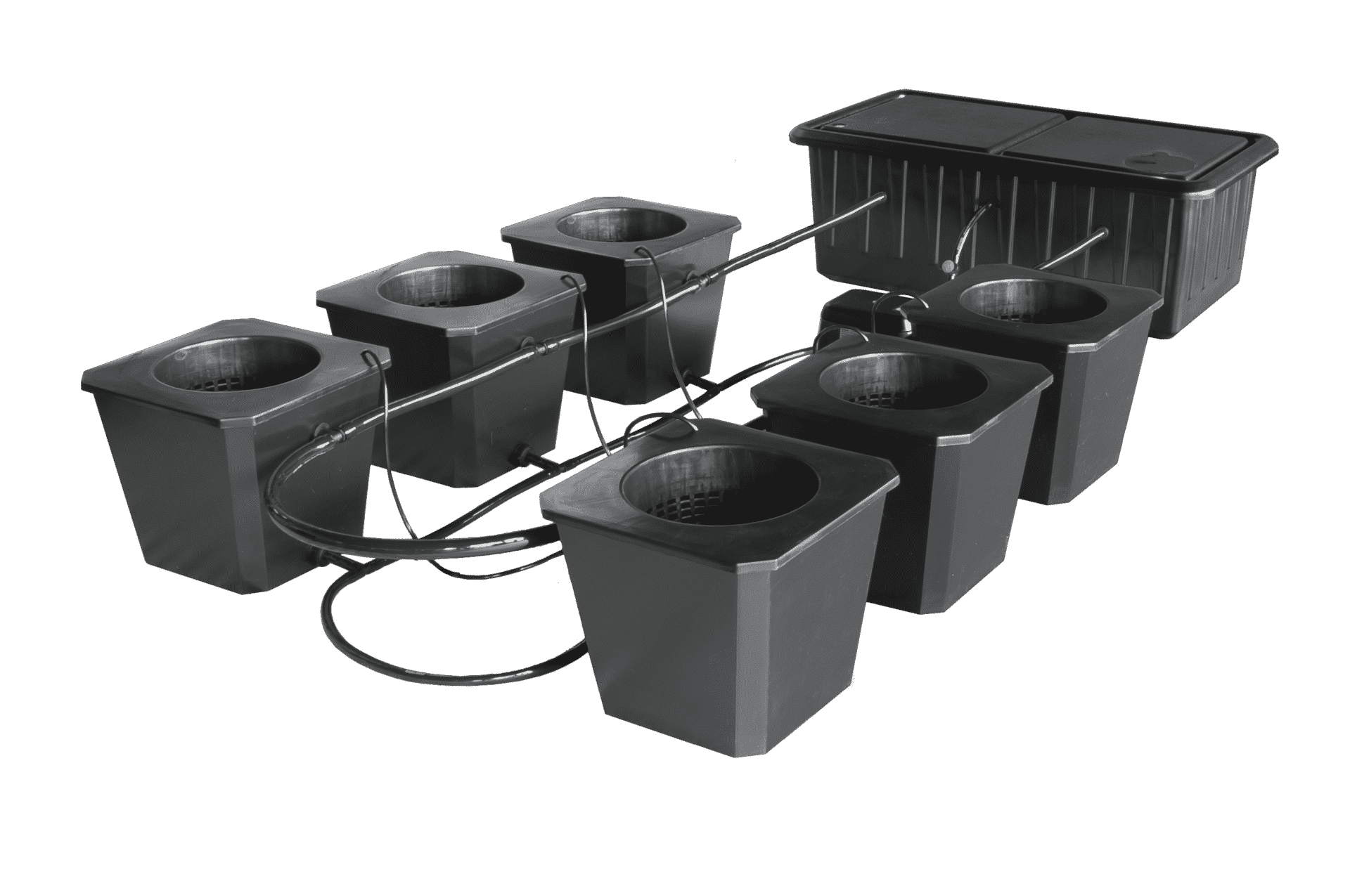 SuperPonics 6-Site Bubble Flow Buckets Hydroponic System