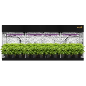 Gorilla Grow Tent 10' x 20' Pro