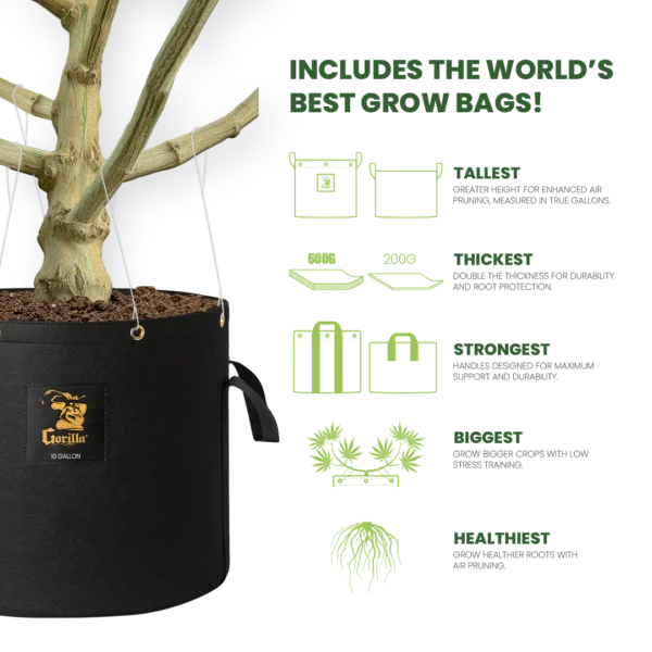 Gorilla Grow Bags Tallest Thickest Strongest True Gallon