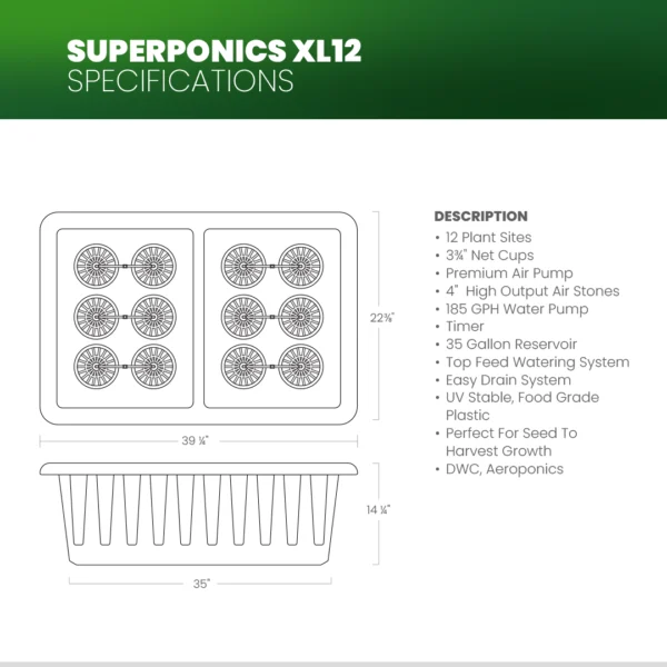 SuperPonics-Specs-XL12