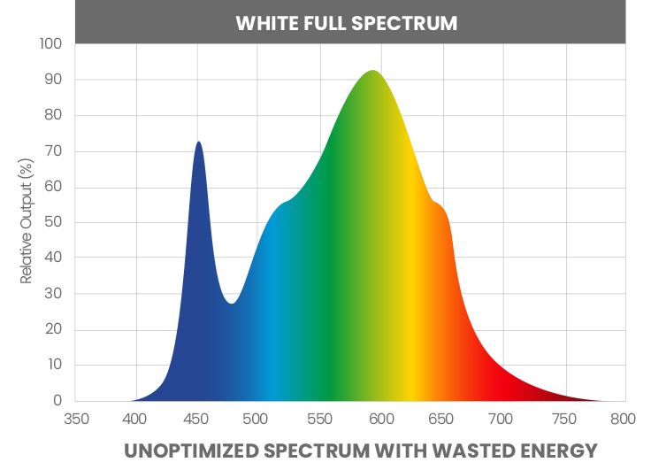 White LED Spectrum