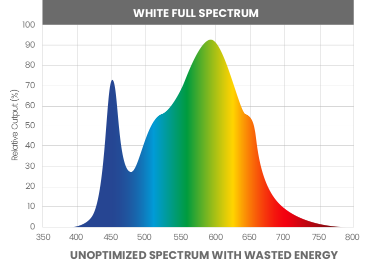 White LED Spectrum