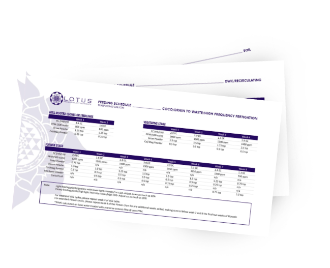 Lotus Plant Nutrients Feeding Schedule