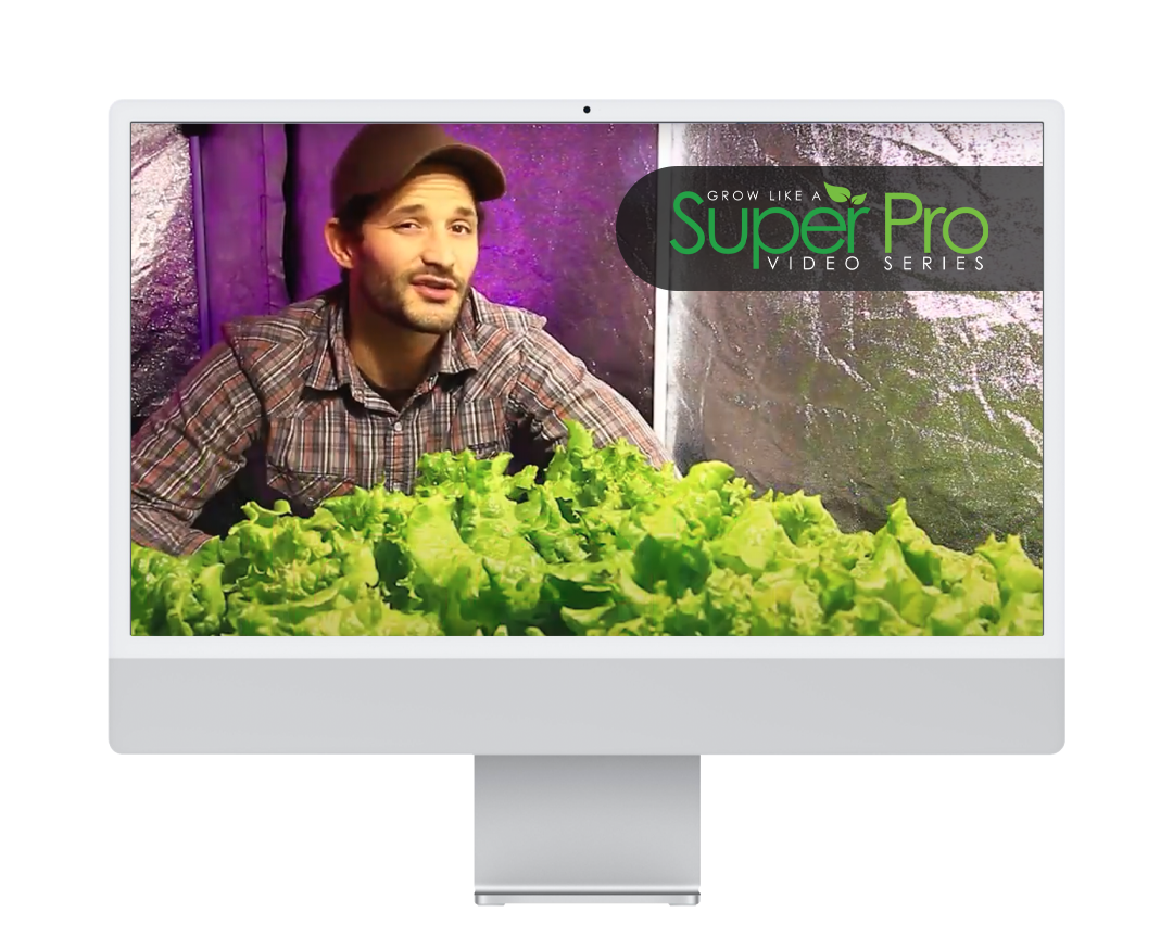 Grow Like a SuperPro Hydroponic Training Course