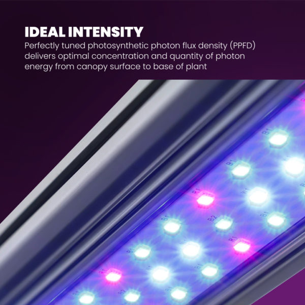 Kind-LED-X-Series-Bar-Lights-PPFD