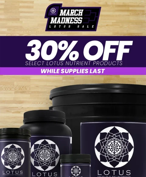 Lotus Nutrients March Sale