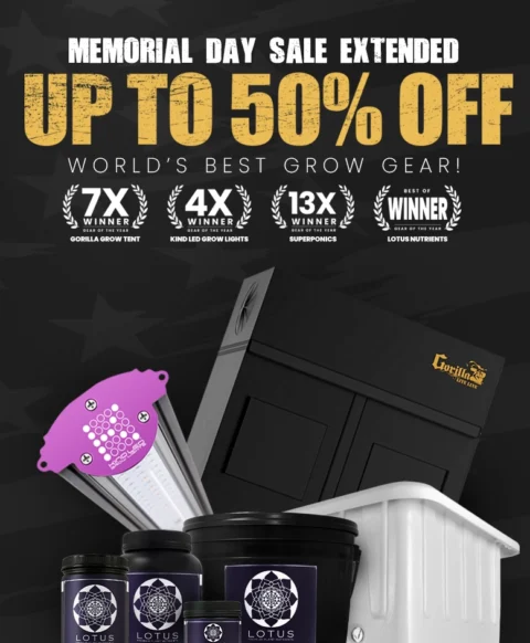 Memorial Day sale