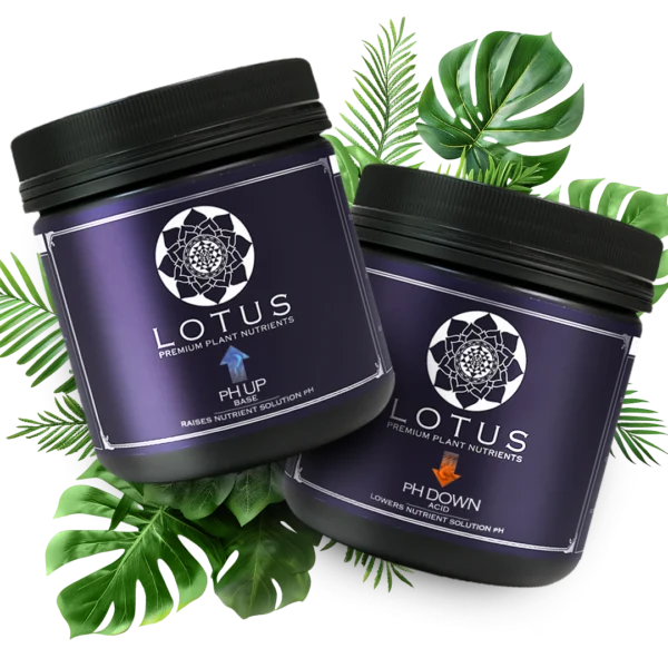 Lotus Nutrients pH Control Kit